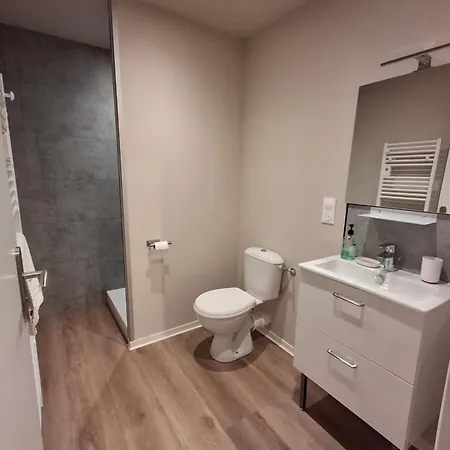 شقة Les Du Moulin Des Loups 3 Et 6 سانت أماند ليه أوكس